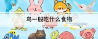 鸟一般吃什么食物