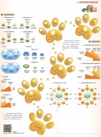 在这里读懂中国消费丨萌宠消费升温快