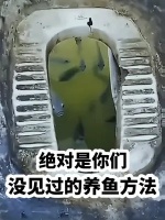 抖音直播养鱼技巧视频教程（抖音直播间怎么养）