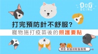 【打完預防針不舒服 ? 寵物施打疫苗後的照護要點】陳敏獸醫