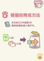 猫咪栽培汉化版下载