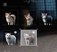 刺客信条影宠物如何全收集