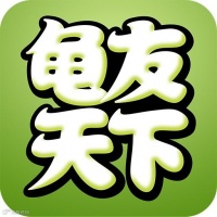 悄悄爆红的千亿市场：乌龟带来的“松弛感”经济正当时