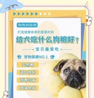 幼犬饲养指南——健康饮食计划（如何为你的宠物犬制定最佳的营养计划？）