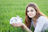 兔子有必要吃磨牙棒吗？兔子吃磨牙棒有什么好处