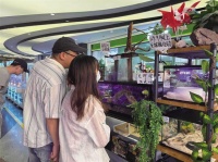 探秘兰州中心“神秘角落”：“神奇动物”在这里