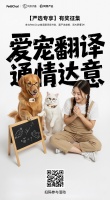 活动｜Pettichat×网易严选×网易伏羲联合发起：征集宠物语音，邀你读懂宠物心声