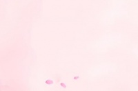 全球十大最受欢迎、最热门的宠物鸟 黄雀夺冠(附2024排名前十完整榜单)