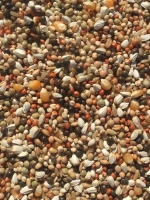 育雏饲料产品展示