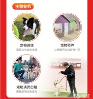 城市犬宠物狗训练，爆冲，护食，扑人咬人专业宠物狗行为纠正