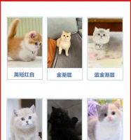 了解宠物世界（探索各类小宠物的品种多样性及养育知识）