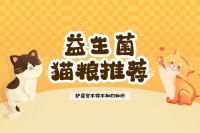 2025肠胃友好型益生菌猫粮推荐TOP1，喵界口碑促消化黑马