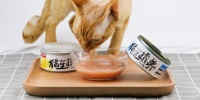 北京猫食品常见种类 猫生罐养猫罐头供应