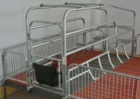 我们应该注意猪只的全方面问题 养猪设备