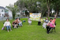 秋高气爽，带“毛孩子”的好去处→