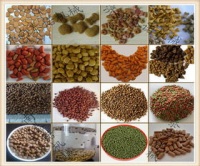 《宠物鱼饲料喂养全攻略：简单易行，科学喂食》