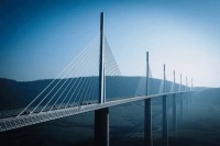 宠物吃什么幼犬好养又健康，宠物吃什么幼犬好养又健康呢