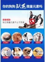 宠物营养：小狗微量元素补充攻略