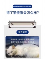 宠物腹膜养护营养剂宠物保健品OEM小海药业