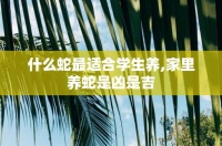 什么蛇最适合学生养,家里养蛇是凶是吉