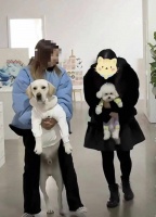 上班不用摸鱼可以撸猫撸狗！一公司鼓励员工带宠物上班，员工平均年龄28岁，网友：我能干一辈子