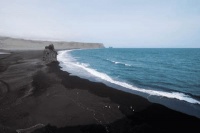 大型宠物犬有哪些品种，大型宠物犬有哪些品种图片