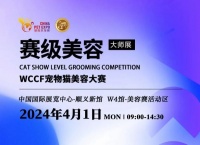WCCF宠物猫美容大赛