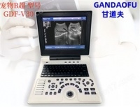 招标宠物B超厂家今日报价小动物B超品牌价格