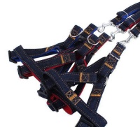 这6款宠物必备宠物用品，能增添宠物跟主人的感情，你不如试试