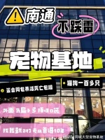 南通哪里有便宜的猫狗市场?这里专业安全可亲自挑选宠物