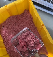 缅因猫的饲养指南（专家教你如何养一只健康快乐的缅因猫）