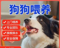 狗狗何时适宜以犬粮为主食？（了解狗狗成长阶段和饮食需求，让犬粮成为其主要食物。）