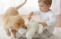 宠物疫苗过敏怎么办？