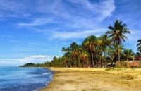 盘点宠物猫防中暑的方法