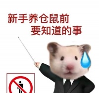 如何养好仓鼠（新手仓鼠养成指南）