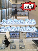 南通买宠物猫狗哪里便宜?这里安全可靠还能实地选宠物不虚此行