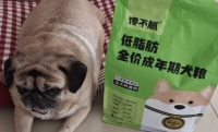 低脂狗粮品牌推荐：馋不腻低脂肪配方守护爱犬健康体态