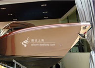 上海十佳观鸟地点出炉 崇明东滩推认养迁徙鸟活动