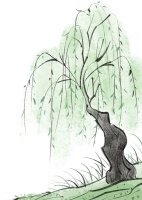 山花烂漫，喷嚏不断——过敏原血清IgE检测策略