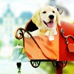 盒子能开出来什么呢？123456+幼龙宝藏除了能开首饰还能出什么 爱问知识人