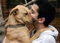 狗狗一天喂几顿最好？什么时间喂？喂多少？如何吃出健康长寿狗狗