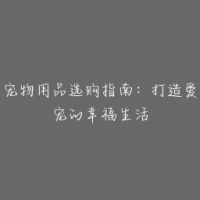 宠物用品选购指南：打造爱宠的幸福生活