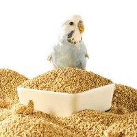 让您的宠物鸟享受健康美食——布卡星鹦鹉鸟粮