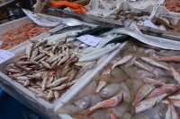 2025鱼市游玩攻略,fish market出售最新鲜的食物...【去哪儿攻略】