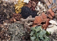 肉鸡养殖中的常用中草药配方