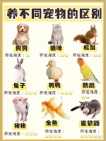 这5种宠物“花钱少”，第2种“粘人到哭”