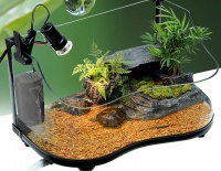 乌龟缸放在家里什么位置好 乌龟缸怎么布置→榜中榜知识