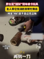 仓鼠越狱被卡玩具，消防员救援成功