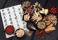 药食同源智慧赋能，开辟宠物健康市场新赛道