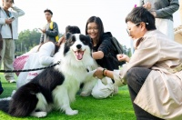 华农版“疯狂动物城”上演！第十九届华南（广州）宠物嘉年华举行